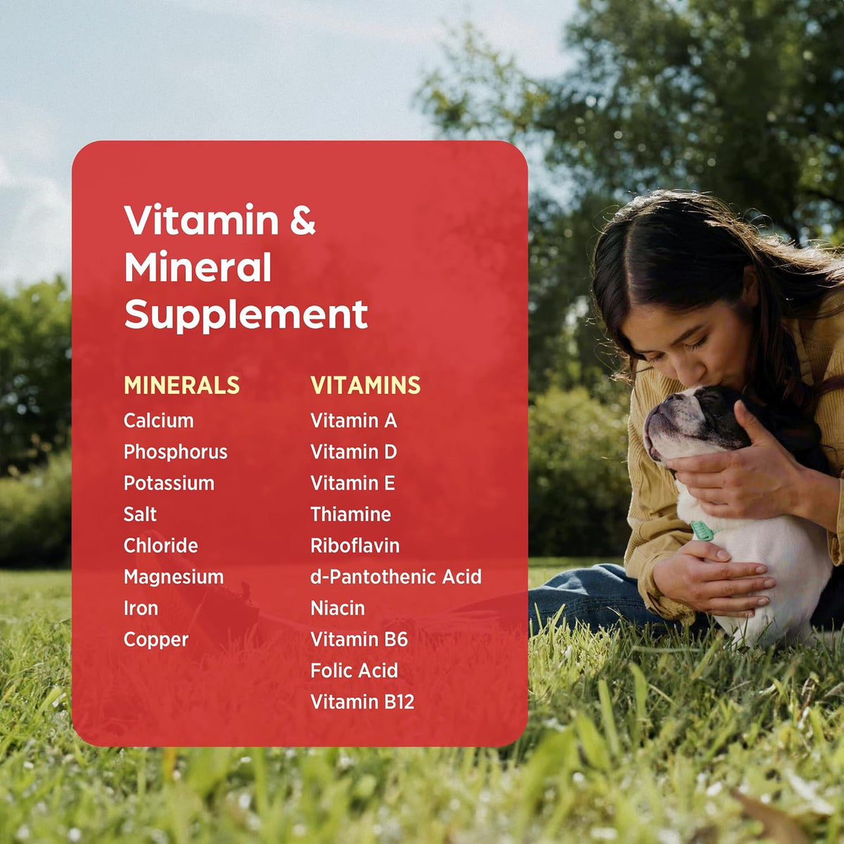 Vi-Sorbits Iron & Vitamin Daily Supplement for Dogs, Meat-Flavoured Chewable Tablets, 200 Count - görsel 6