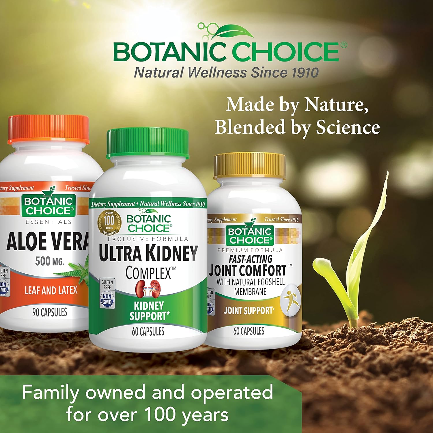 Botanic Choice Ultra Kidney Complex - Optimum Kidney Support with Milk Thistle, Green Tea and More - 60 Capsules - görsel 6