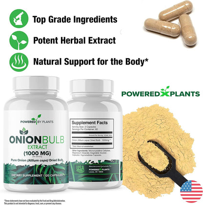 Onion Bulb Extract 1000mg Pure Natural Onion (Allium Cepa) Dried Bulb - 120 Capsules