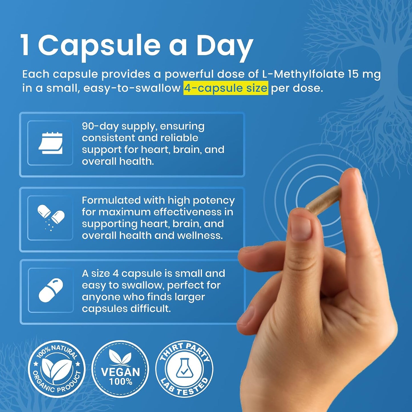 L-Methylfolate 15mg | 90 Capsules | Optimised & Highly Bioactive Methyl Folate Supplement | 5-MTHF for Normal Homocysteine Metabolism, Psychological Function & Energy | Non-GMO, Gluten-free, Vegan | 3 Month Supply - görsel 9