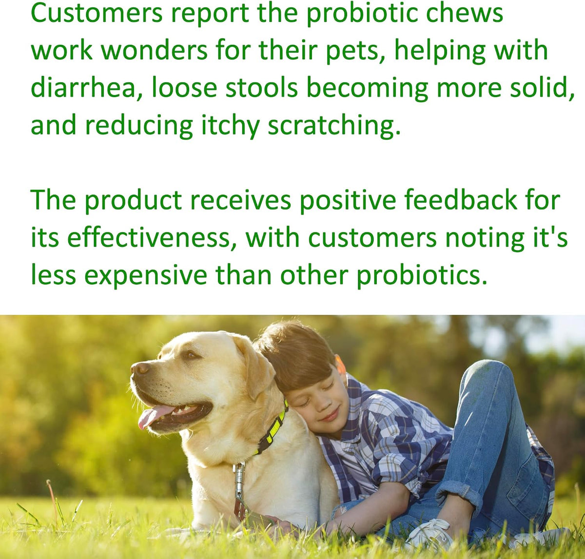 TummyWorks Probiotics for Dogs – 120 Soft Chews for Digestive Health & Immunity - görsel 8