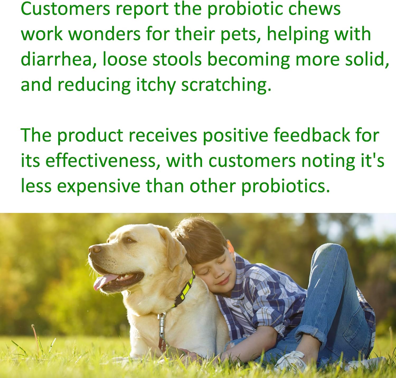 TummyWorks Probiotics for Dogs – 120 Soft Chews for Digestive Health & Immunity - görsel 8