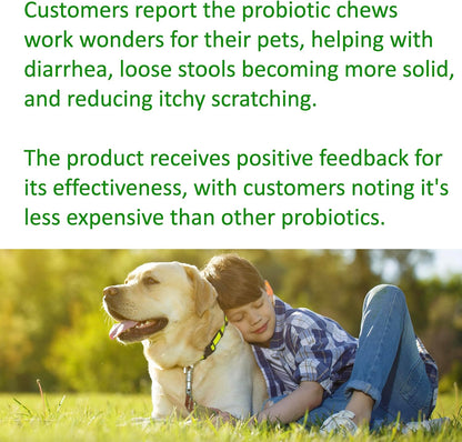TummyWorks Probiotics for Dogs – 120 Soft Chews for Digestive Health & Immunity