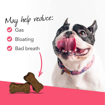 VetriScience Gut Health Chews - Probiotic Everyday Digestive Supplement for Dogs, Duck Flavour, 45 Chews