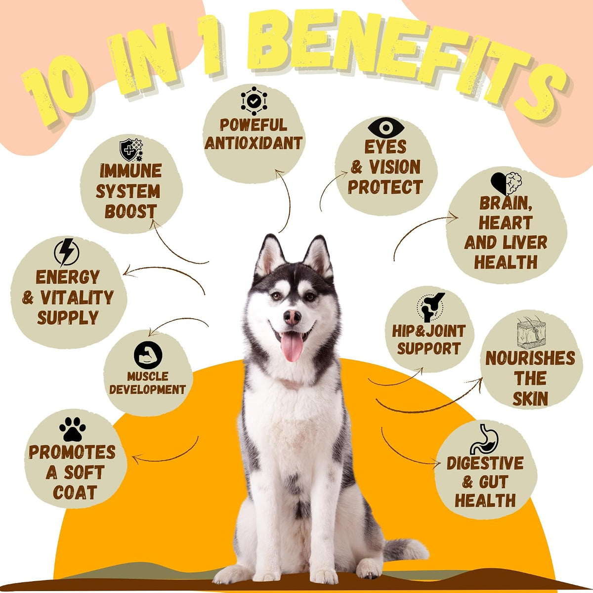 PETIZU Dog Vitamins Chews – Glucosamine Chondroitin for Joint Support + Digestive Enzymes & Probiotics – Multivitamin for Skin, Coat & Immune Health - görsel 3