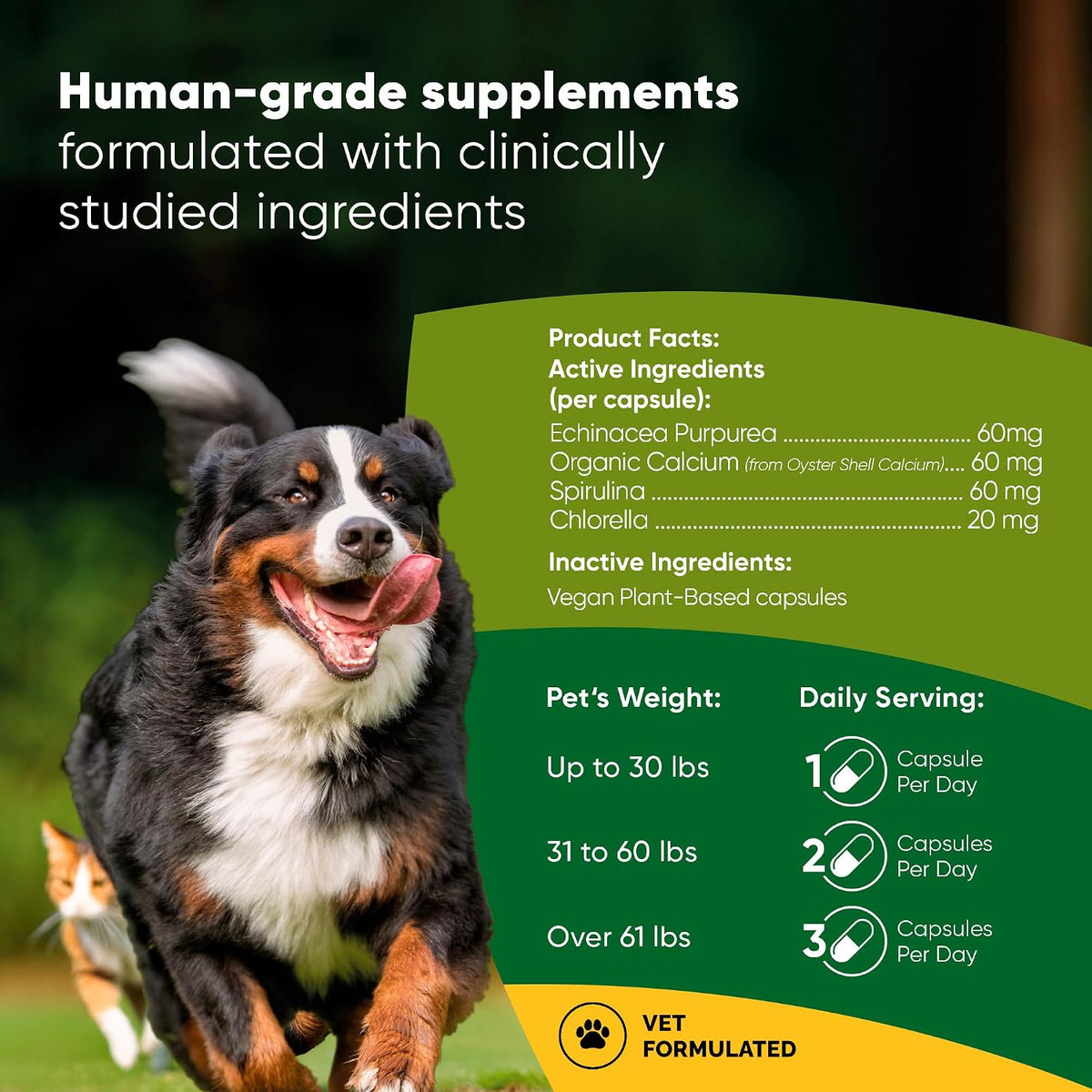 Rooted Owl® Mushroom Supplement for Dogs & Cats - Immune Support - 60 Capsules - görsel 2