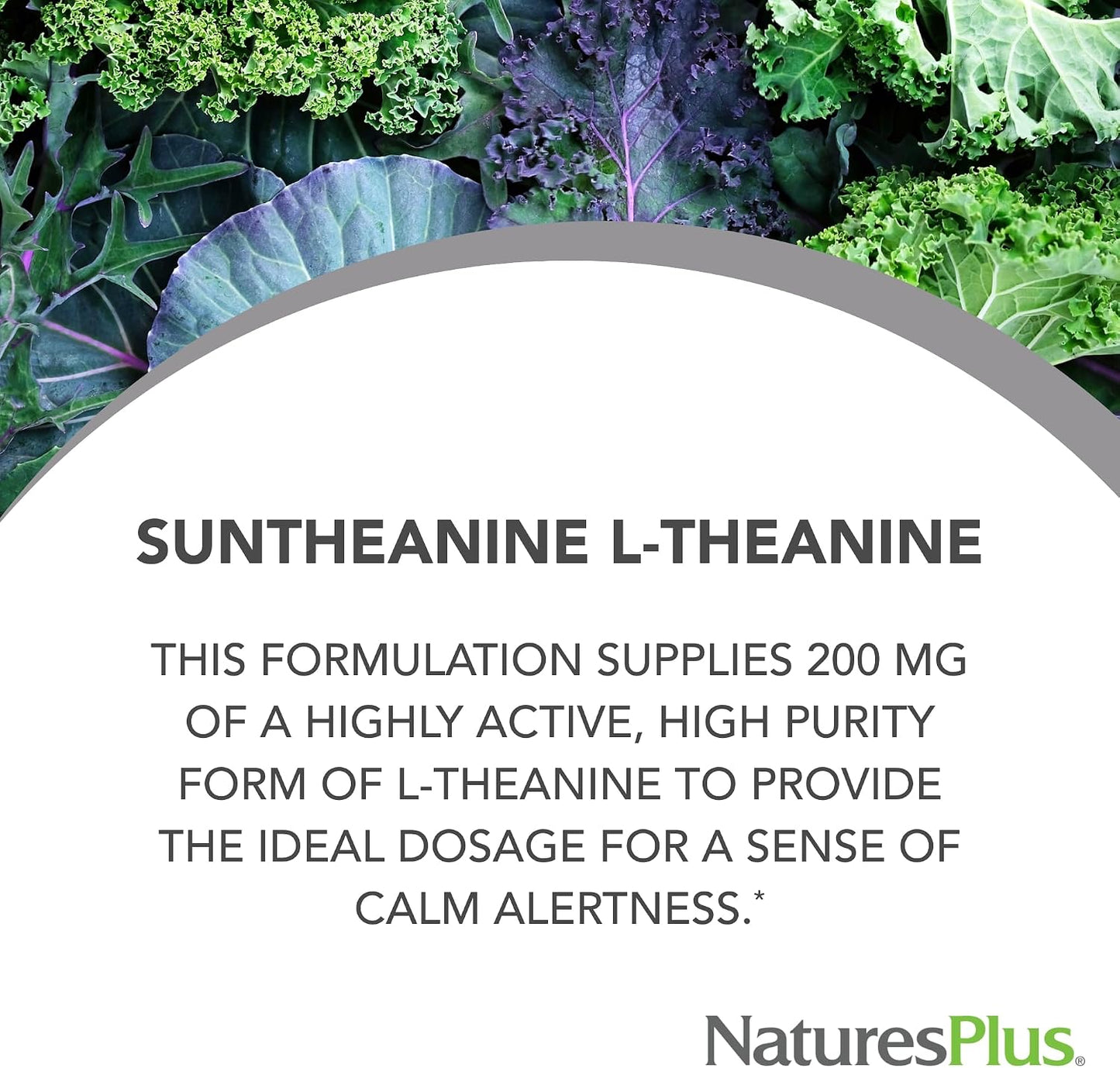 NaturesPlus PRO Suntheanine L-Theanine - 60 Capsules - Calm Alertness, Healthy Relaxation & Improved Rest - görsel 2