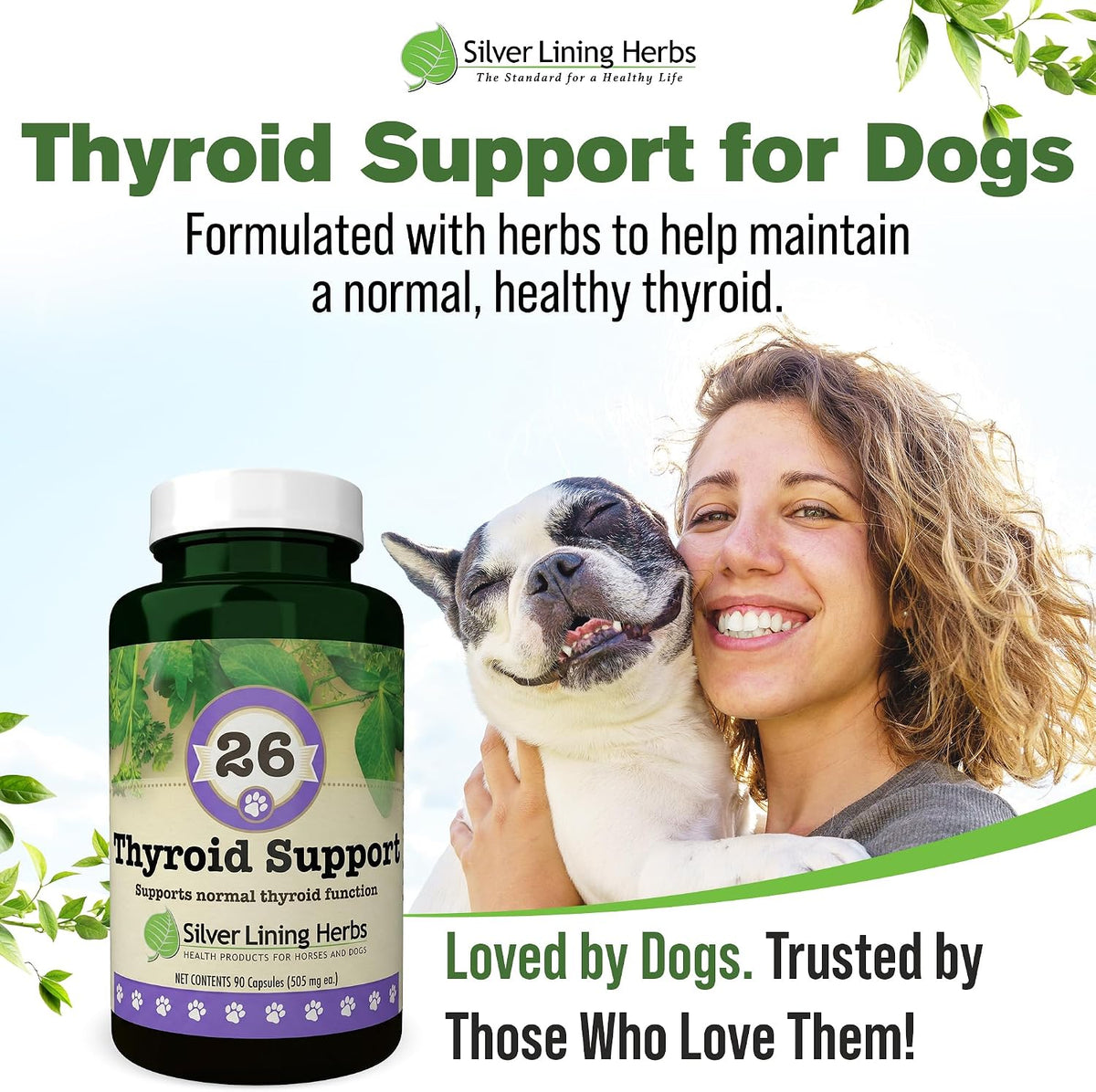 Silver Lining Herbs Thyroid Support for Dogs - 90 Capsules - görsel 8