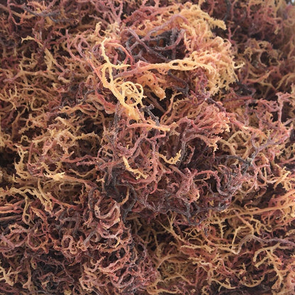 Organic Sea Moss Powder 227 g - Wildcrafted Irish Sea Moss, Single Ingredient