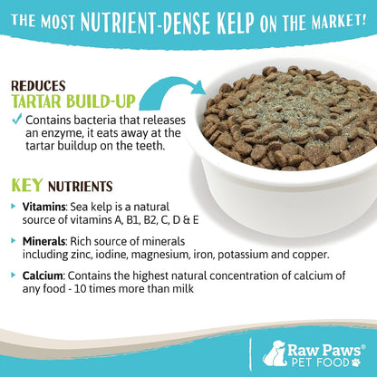 Raw Paws Organic Kelp Powder for Dogs & Cats (454g) - Supports Thyroid, Digestive and Immune Health