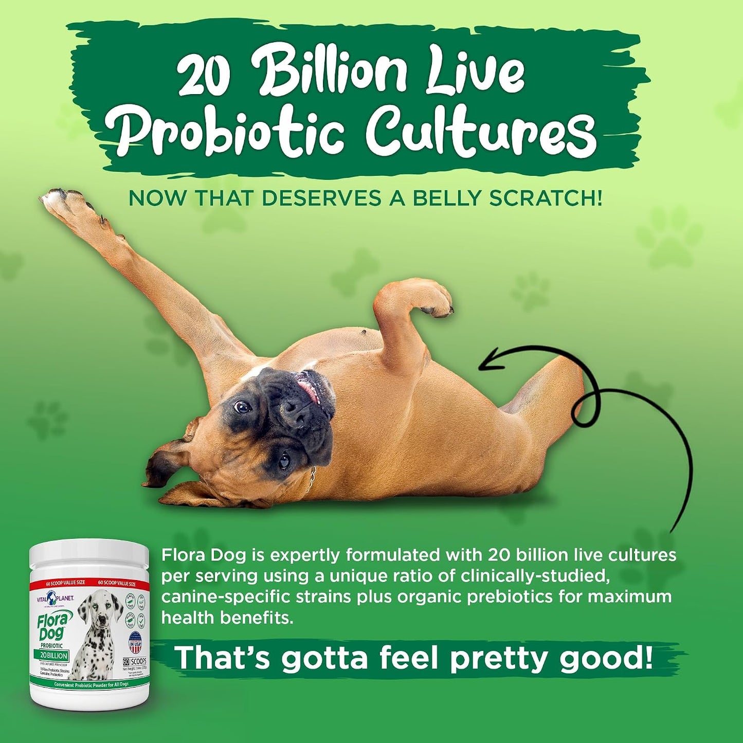 Flora Dog Probiotic Powder for Dogs - 20 Billion Cultures, 10 Strains, 222 g (60 Servings) - görsel 5