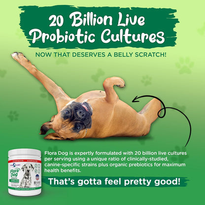 Flora Dog Probiotic Powder for Dogs - 20 Billion Cultures, 10 Strains, 222 g (60 Servings)