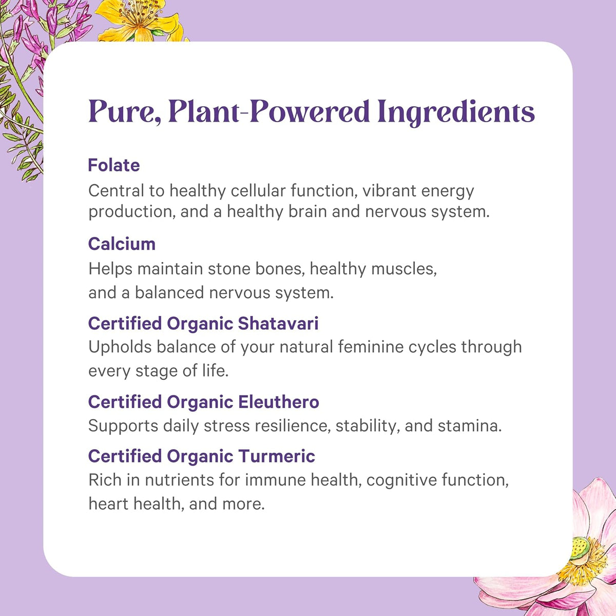 PURE SYNERGY Vita·Min·Herb for Women - Women's Comprehensive Multivitamin Supplement – Image 5