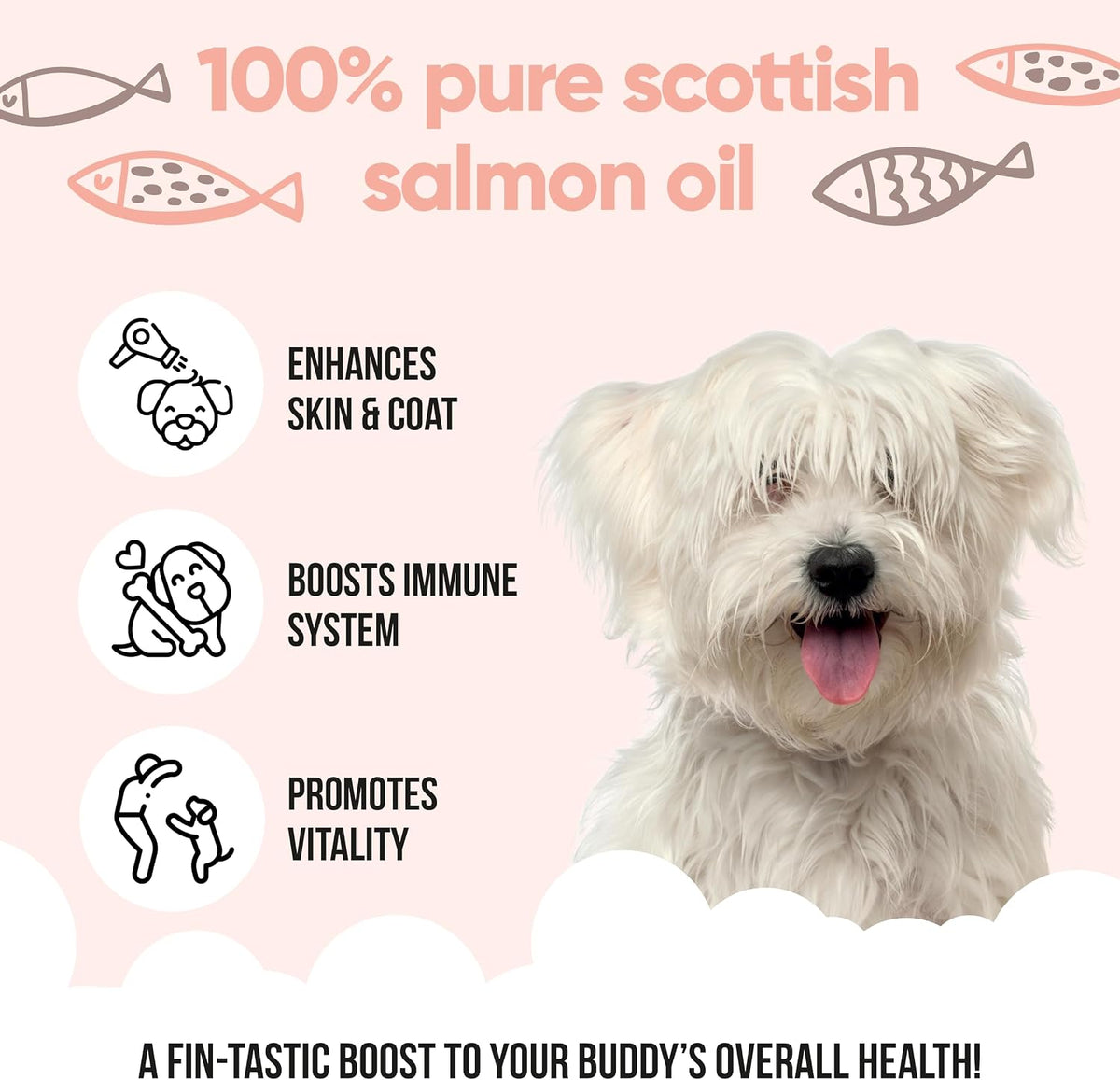 Buddycare Scottish Salmon Oil for Dogs and – Contributes to Normal Brain Function: DHA, an omega-3, contributes to – Image 3