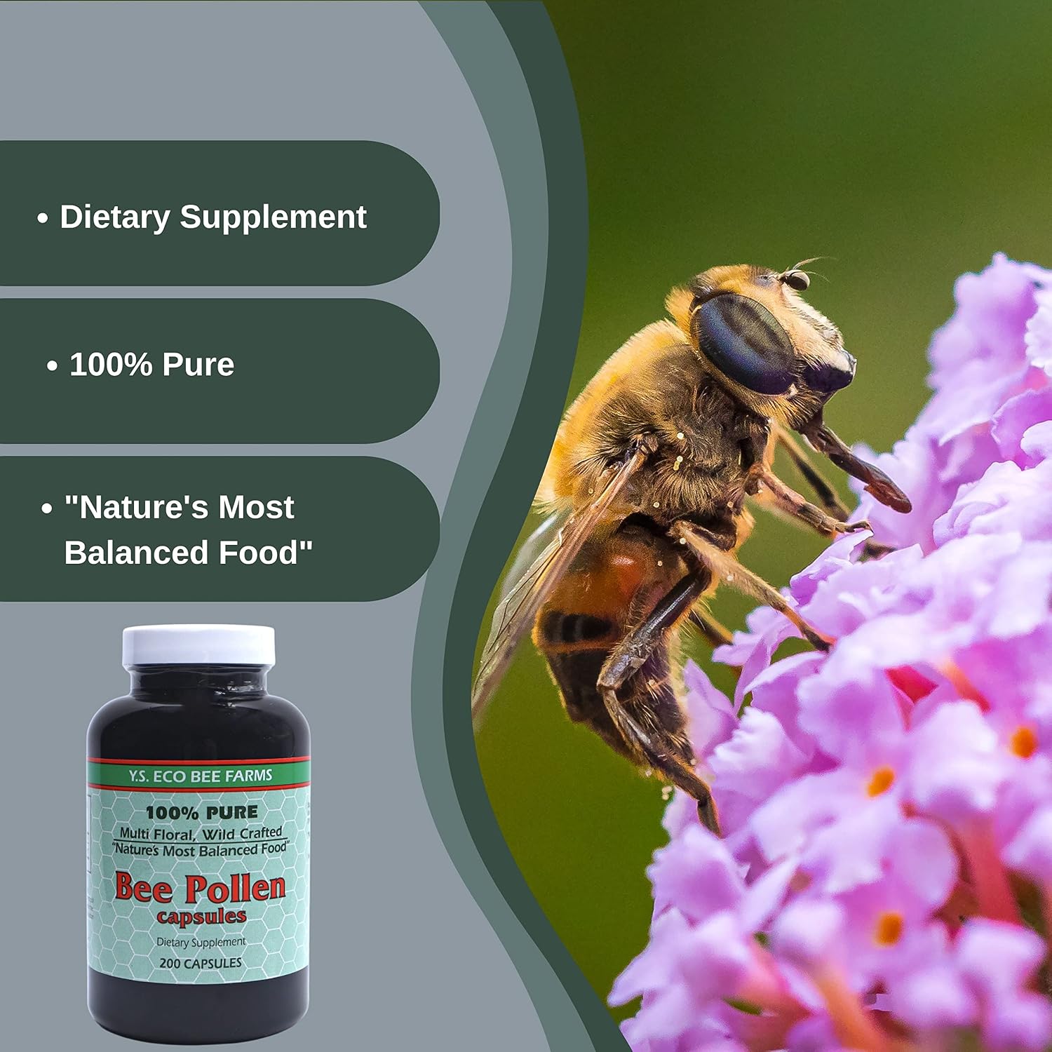 Y.S. Eco Bee Farms 100% Pure Wild Crafted Bee Pollen Capsules (200 Capsules) - görsel 4