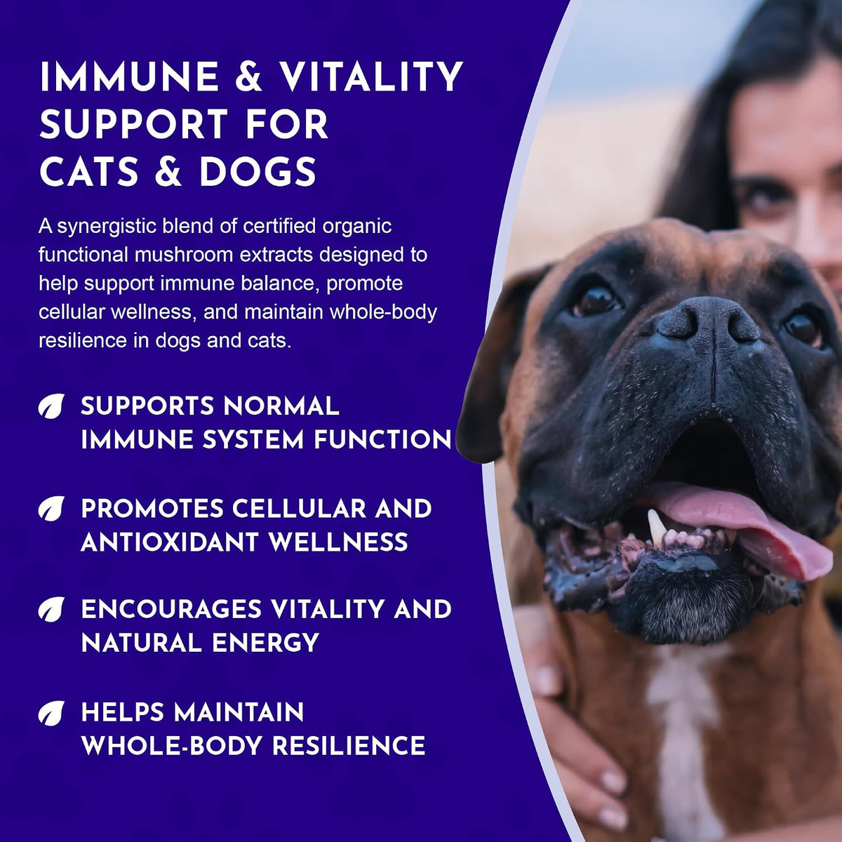 MUSHROOM DEFENCE Supplement for Dogs & Cats - Critical Immune Defence, Reishi, Maitake, Cordyceps, Mushroom Powder Extract - 70 g (Pack of 1) - görsel 6