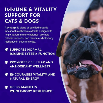 MUSHROOM DEFENCE Supplement for Dogs & Cats - Critical Immune Defence, Reishi, Maitake, Cordyceps, Mushroom Powder Extract - 70 g (Pack of 1)
