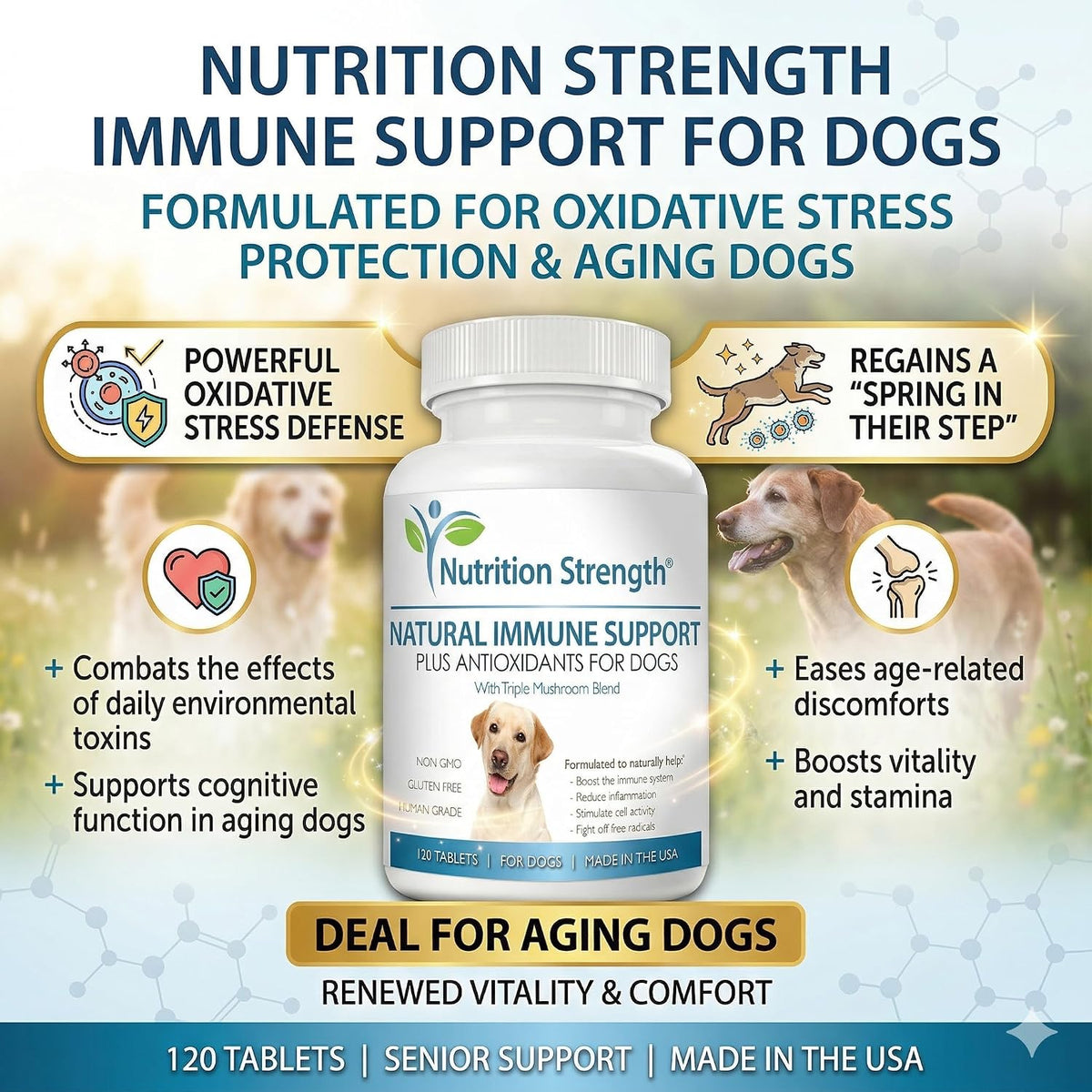 Immune Support for Dogs – Turkey Tail, Reishi, Shiitake & Maitake Mushroom Complex with CoQ10 and Vitamin A – 120 Chewable Tablets - görsel 4