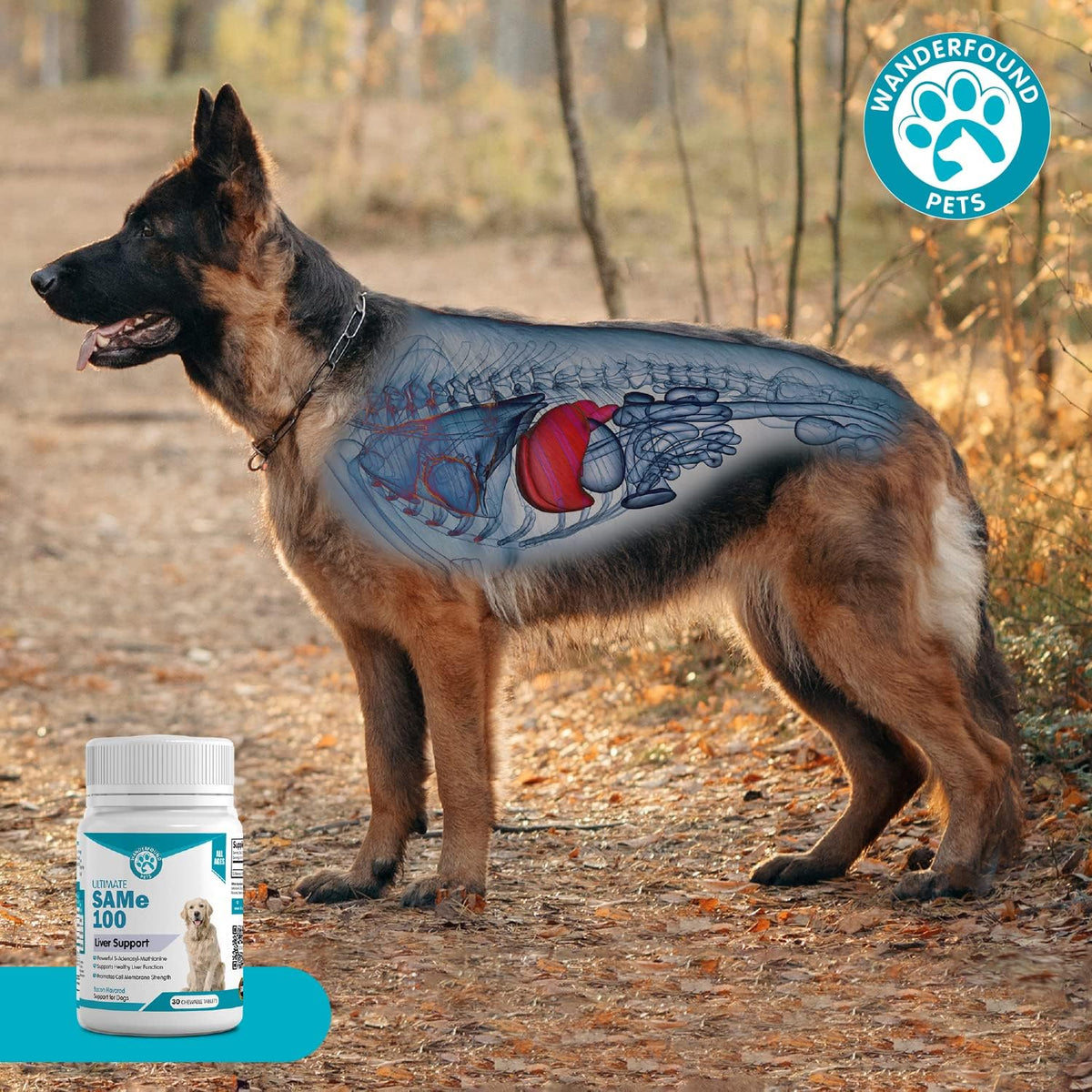 Pawsitive SAMe 100 Liver Support for Dogs - Bacon Flavoured Chewable Tablets (30 Count) - görsel 8