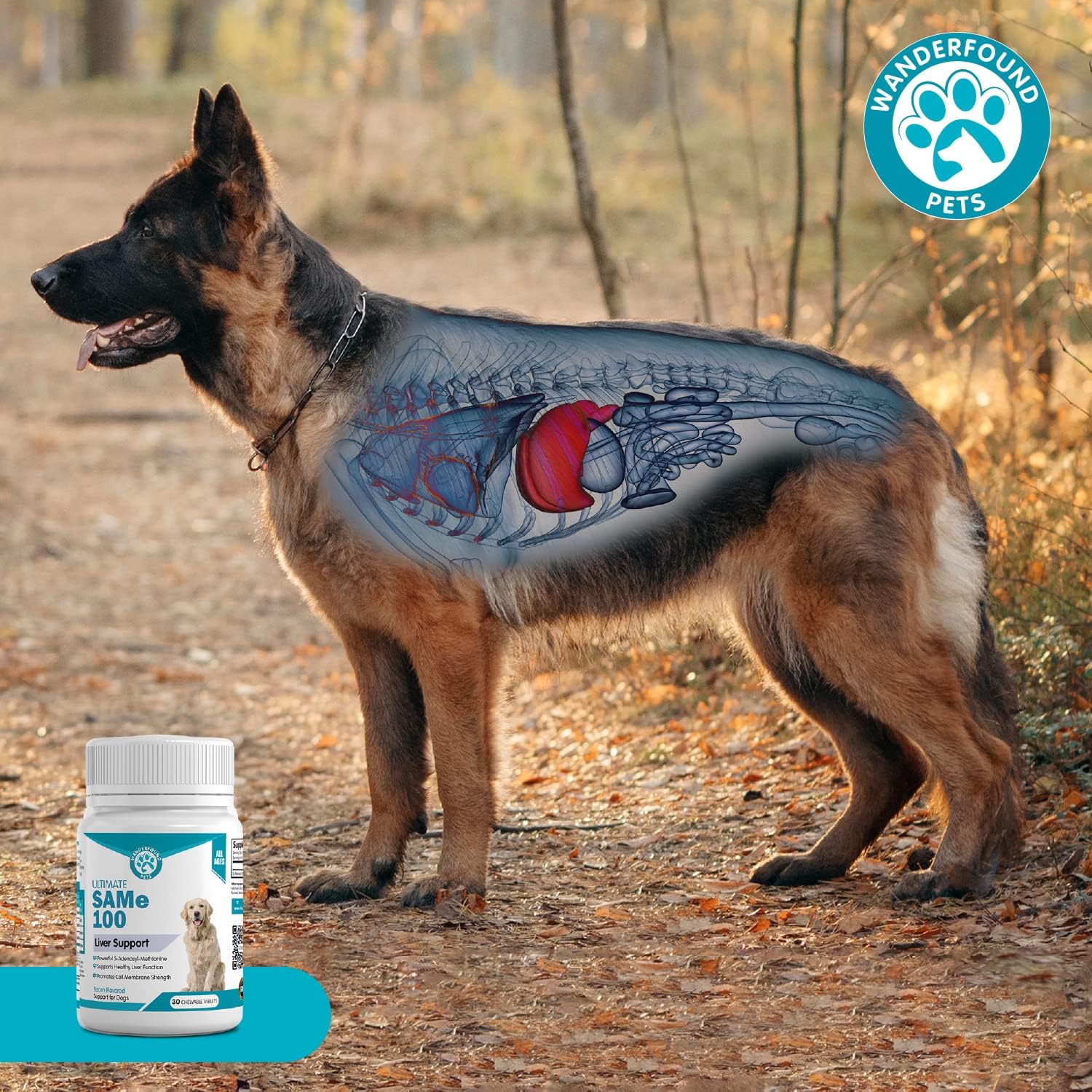 Pawsitive SAMe 100 Liver Support for Dogs - Bacon Flavoured Chewable Tablets (30 Count) - görsel 8