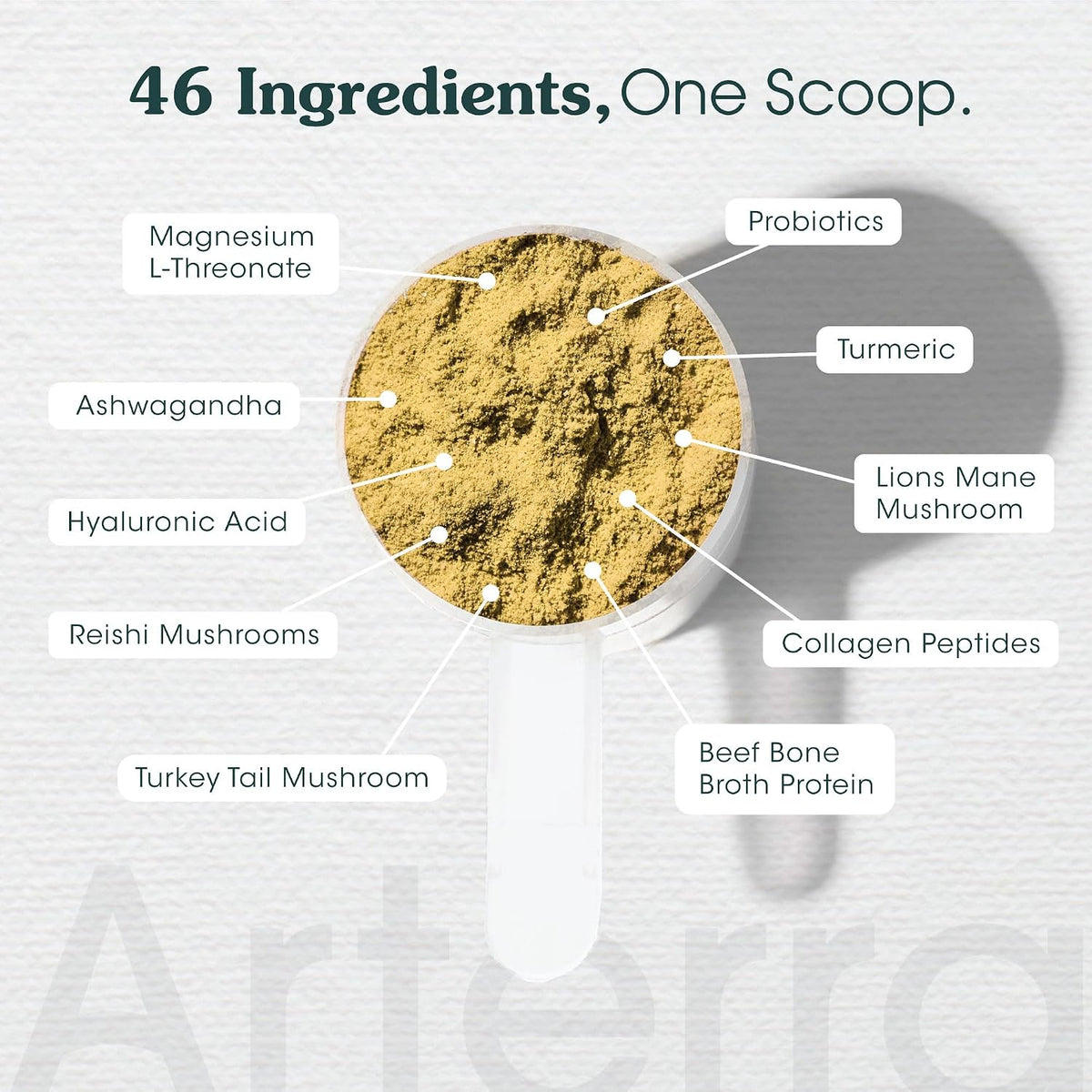 Adult Dog Powder Supplement: 46-Ingredient Daily Longevity Multivitamin & Food Topper - görsel 5
