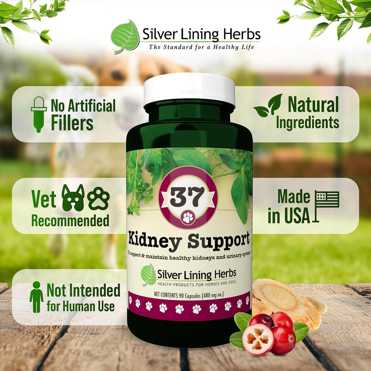 Kidney Support for Dogs – Natural Herbal Canine Kidney Cleanse & Bladder Support Supplement with Cranberry & Astragalus – 90 Capsules - görsel 5