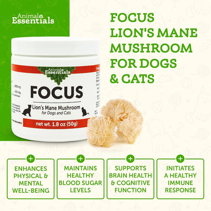 Focus Lion's Mane Mushroom Supplement for Dogs & Cats