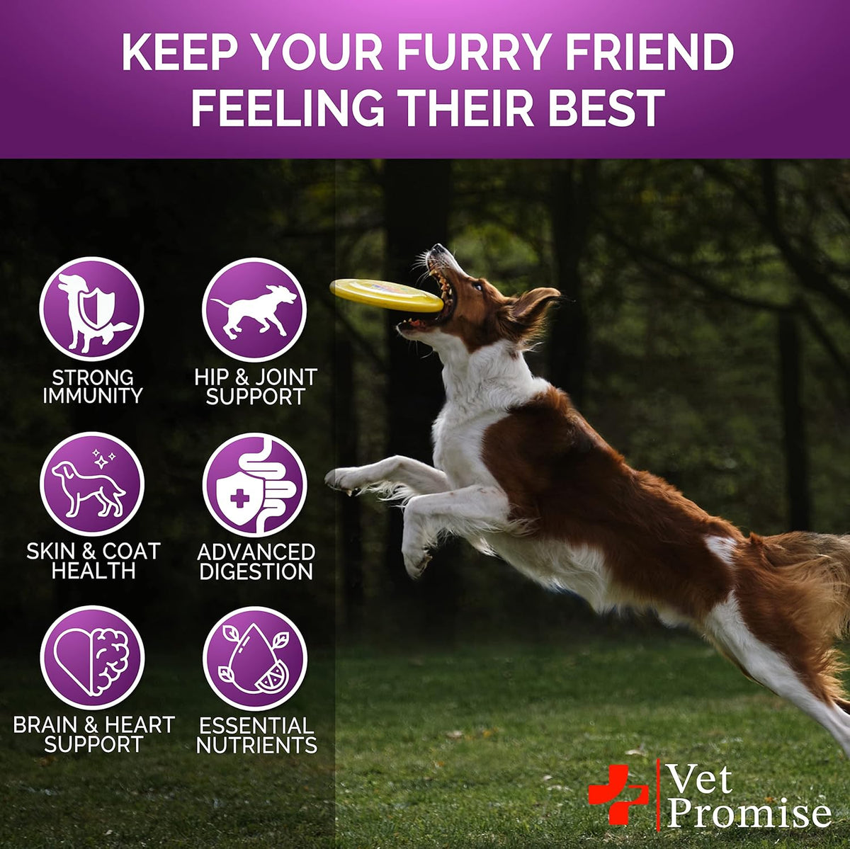 Vet Promise Dog Multivitamin Chewable with Glucosamine - 120 Chews - görsel 4