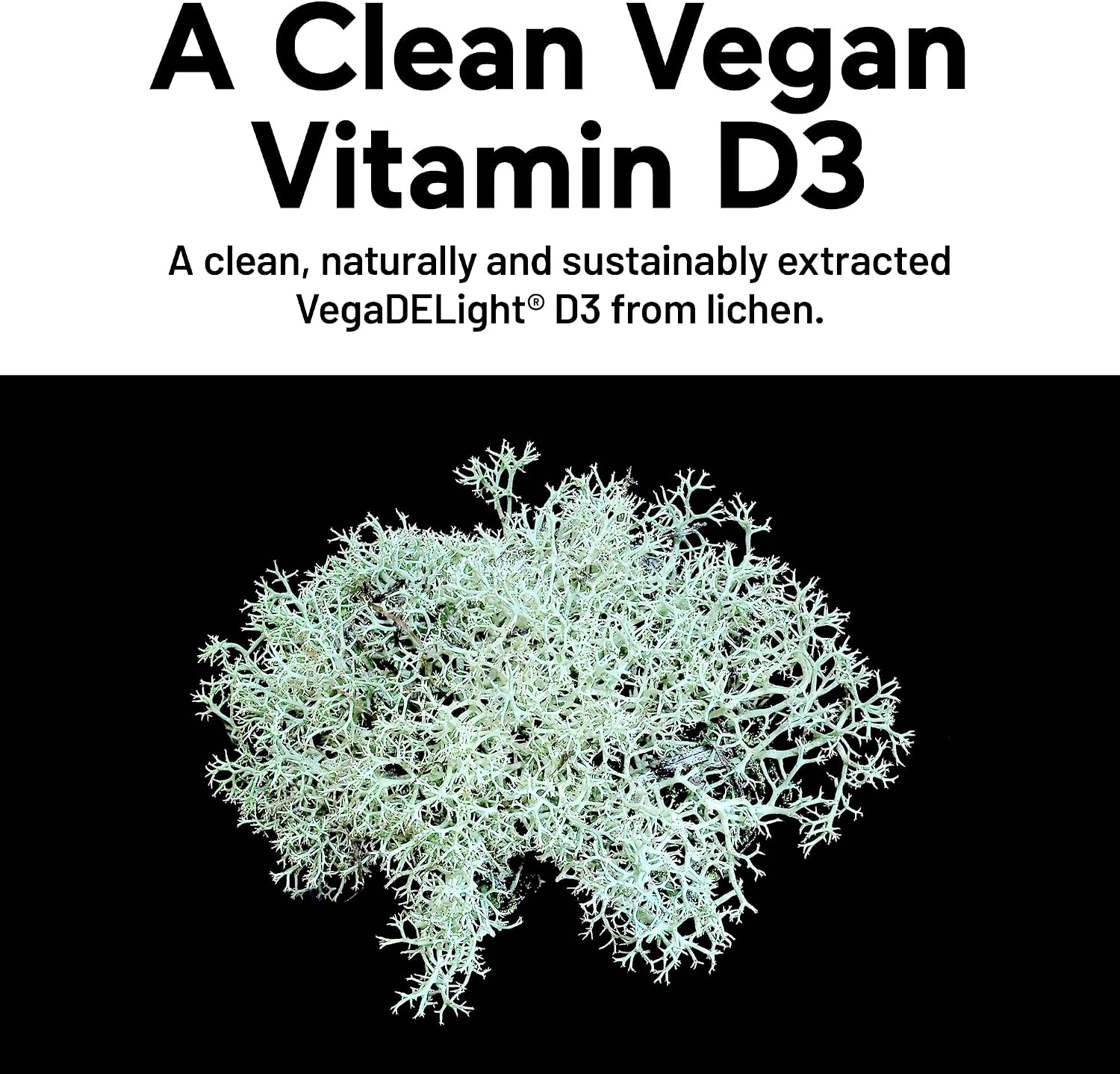 SMARTERNUTRITION Vegan Vitamin D3 5000 IU + Vitamin K2 1100 mcg – D3 K2 Supplement for Immune & Bone Health, 60 Softgels - görsel 3