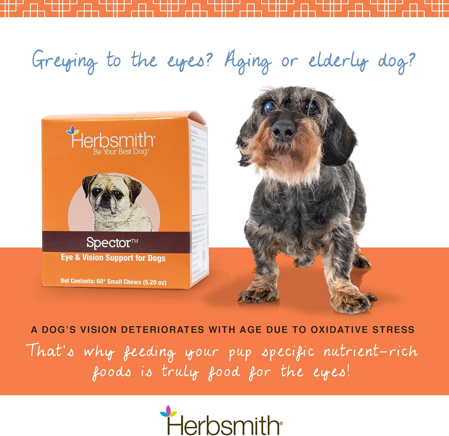Herbsmith Spector - Eye & Vision Support for Dogs - Antioxidant Supplement - 60 Large Chews - görsel 4