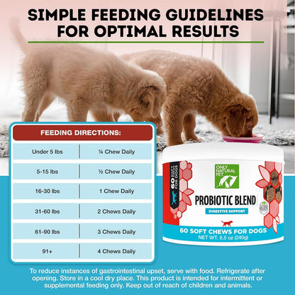 Only Natural Pet Probiotic Dog & Cat Supplement – Digestive and Gut Health Enzyme Formula, Soft Chews, 60 Count
