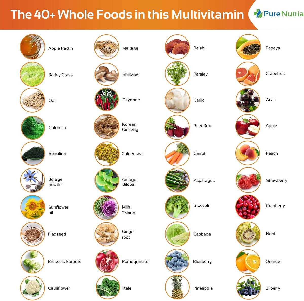 PureNutria Whole Food Multivitamin & Minerals with Probiotic Enzymes – 120 Tablets for Women and Men - görsel 7