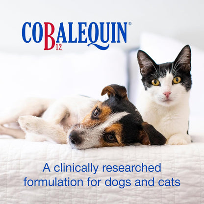 Nutramax Cobalequin B12 for Dogs and Cats – Chewable Cobalamin Supplement with Folate (45 Tablets)