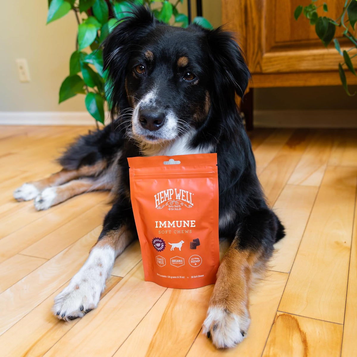 Immune - Allergy Support Dog Soft Chews - Long Lasting Relief for Seasonal Dog Allergies and Itching - Supports Healthy Skin and Immune System - Gut Health - Organic (30 Chews) - görsel 6