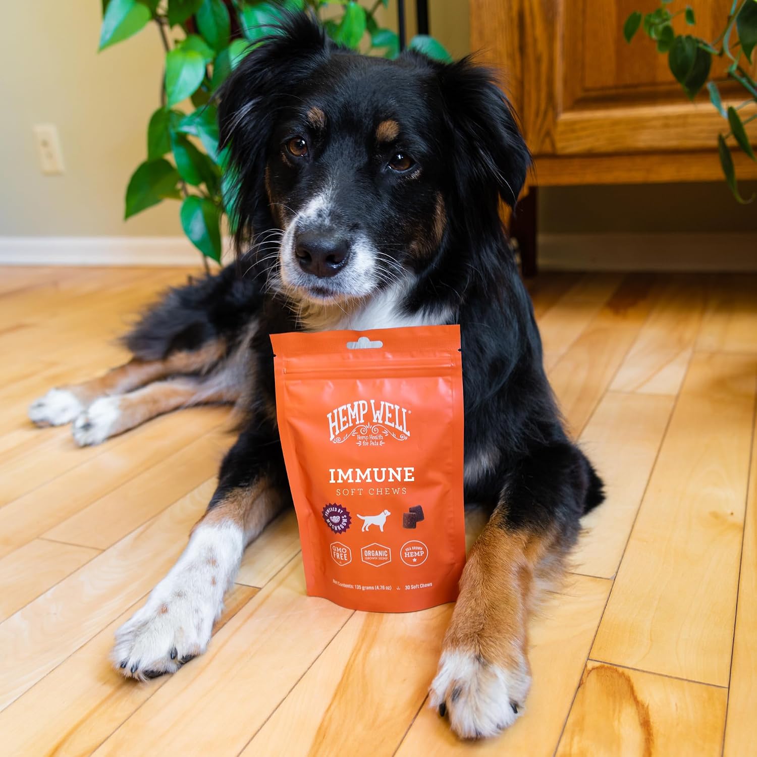 Immune - Allergy Support Dog Soft Chews - Long Lasting Relief for Seasonal Dog Allergies and Itching - Supports Healthy Skin and Immune System - Gut Health - Organic (30 Chews) - görsel 6