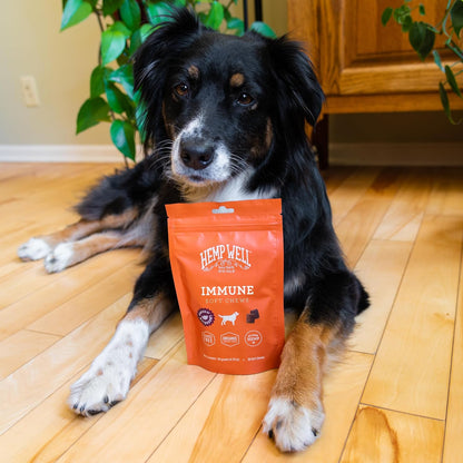 Immune - Allergy Support Dog Soft Chews - Long Lasting Relief for Seasonal Dog Allergies and Itching - Supports Healthy Skin and Immune System - Gut Health - Organic (30 Chews)