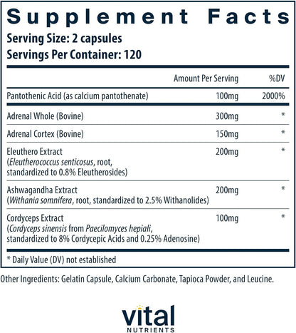 Vital Nutrients Adrenal Support – Adrenal Support Supplement for Gland Function and Cortisol Management – Supports Energy and Stress Levels – Gluten, Dairy, Soya Free – 240 Capsules