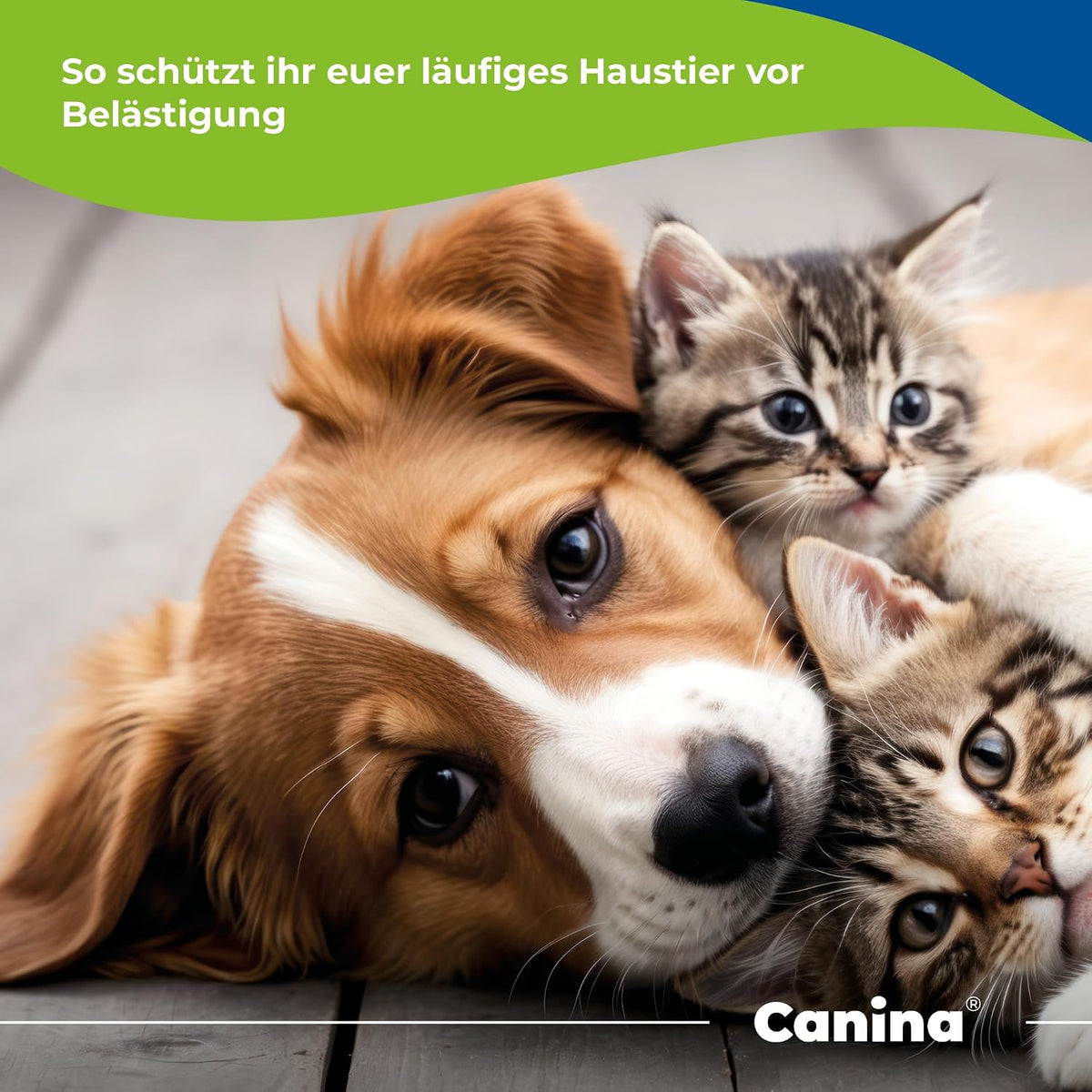 Canina Dog-Stop Forte Multivitamin Tablets for Dogs, 60 Tablets - görsel 3