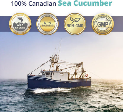 100% Sea Cucumber Powder Capsules, 30 Capsules
