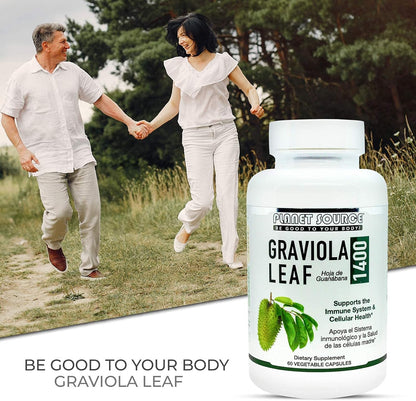Graviola Leaf – Annona Muricata Soursop – Traditional Herbal Supplement – Natural Antioxidant – 60 Vegetable Capsules (1400mg)