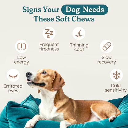 PetHeal Immune Plus Chews for Dogs – Vet-Reviewed Immune, Energy & Liver Support with Turkey Tail, Reishi & Milk Thistle | 30 Pork-Flavoured Soft Chews