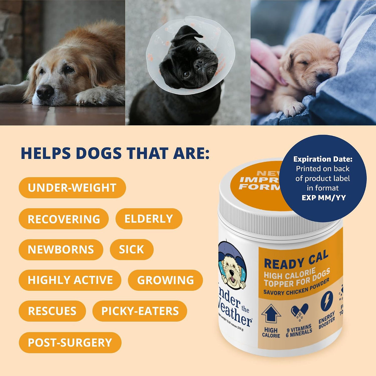 Under the Weather Ready Cal Powder for Dogs, High-Calorie Weight Gainer & Appetite Stimulant, Chicken Flavour | 300 g (10.58 oz) - görsel 4
