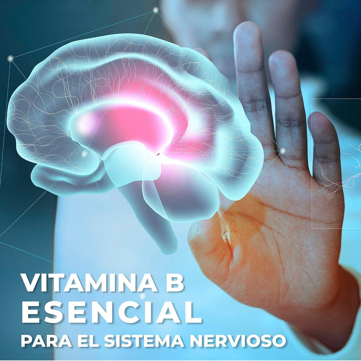 Vidanat Complex B 90 Capsules – Essential B Vitamins for Energy, Nervous System & Immune Health - görsel 7