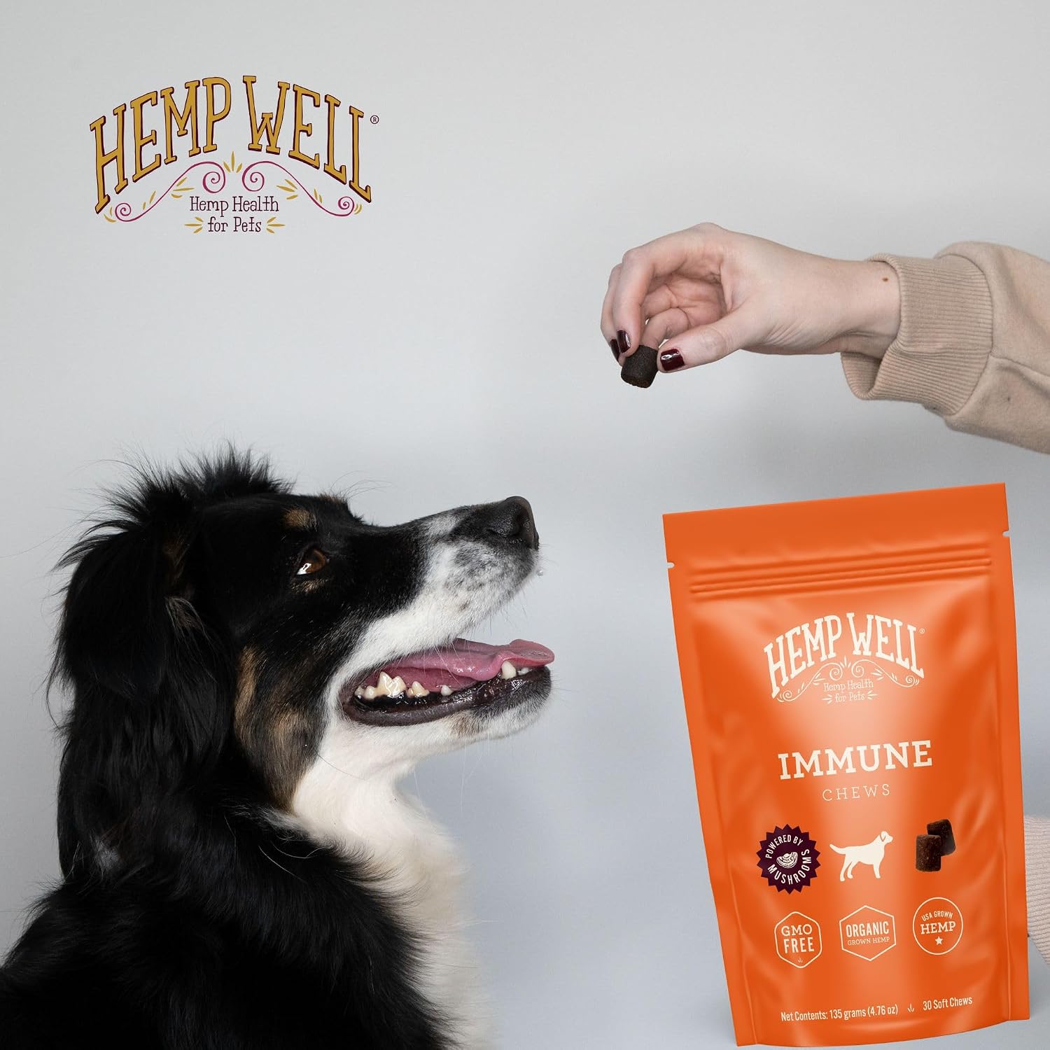 Immune Support Dog Soft Chews – Gut Health – Hemp Well - görsel 6