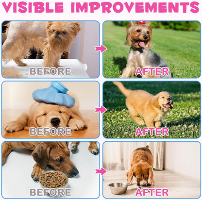 Collagen for Dogs - Liquid Drops with Biotin, MSM and Ginger - 60 ml