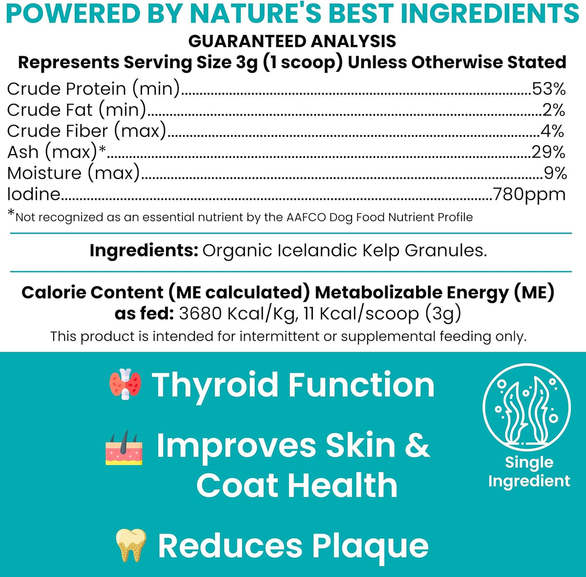 Kelp Supplement for Dogs - 16 oz Powder with Spoon - Thyroid, Dental & Skin Support - Made in the USA - görsel 2