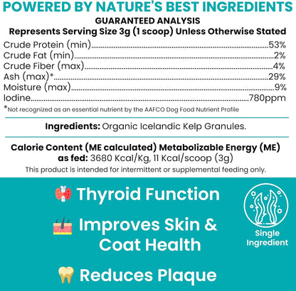 Kelp Supplement for Dogs - 16 oz Powder with Spoon - Thyroid, Dental & Skin Support - Made in the USA