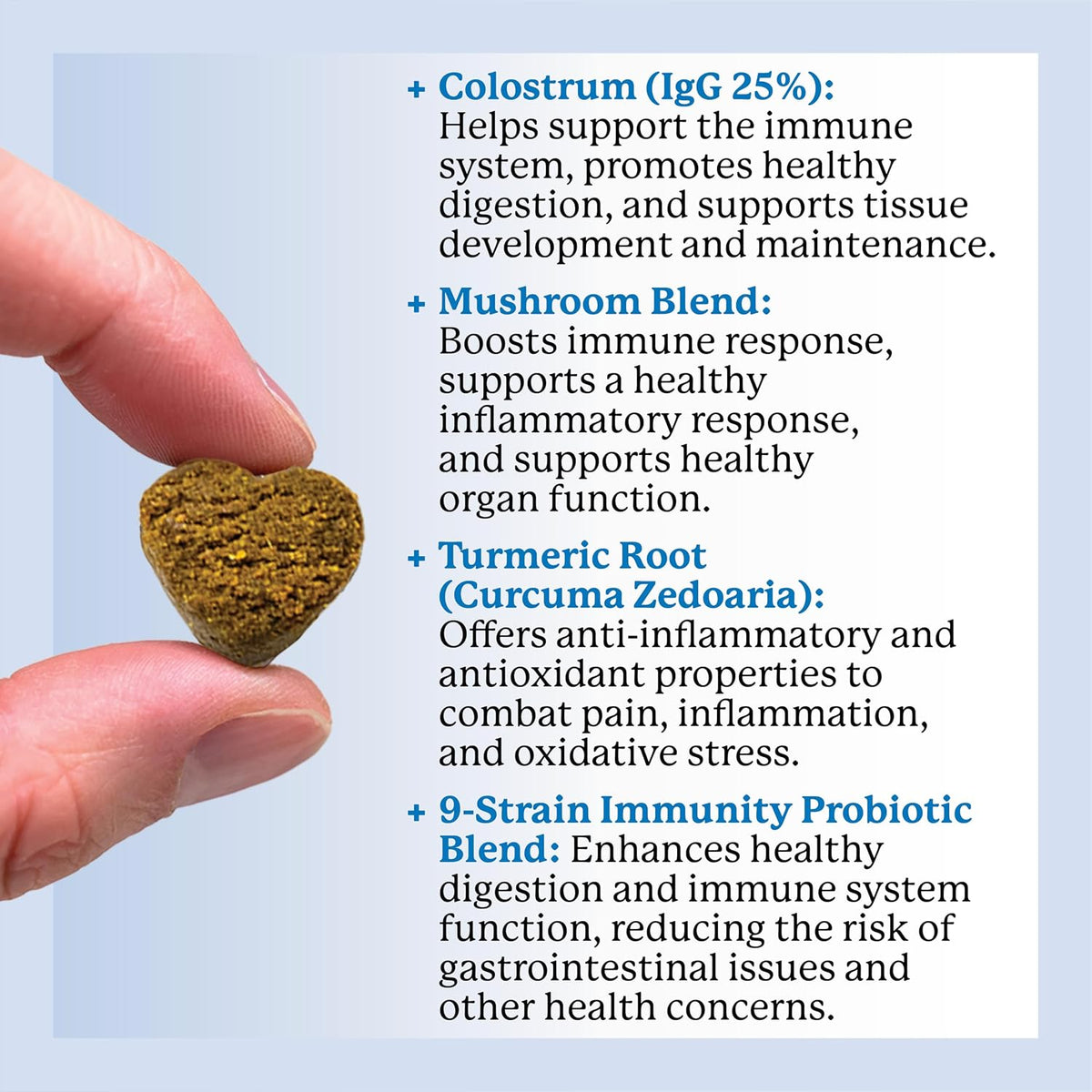 Dr. Harvey's Dog Allergy & Anti-Itch Relief Soft Chew Supplement Bites for Dogs, Daily Immune & Digestive Health Support with Functional Mushrooms, Super Herbs, Probiotics, Salmon Flavour (90 Chews) - görsel 4