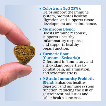 Dr. Harvey's Dog Allergy & Anti-Itch Relief Soft Chew Supplement Bites for Dogs, Daily Immune & Digestive Health Support with Functional Mushrooms, Super Herbs, Probiotics, Salmon Flavour (90 Chews)