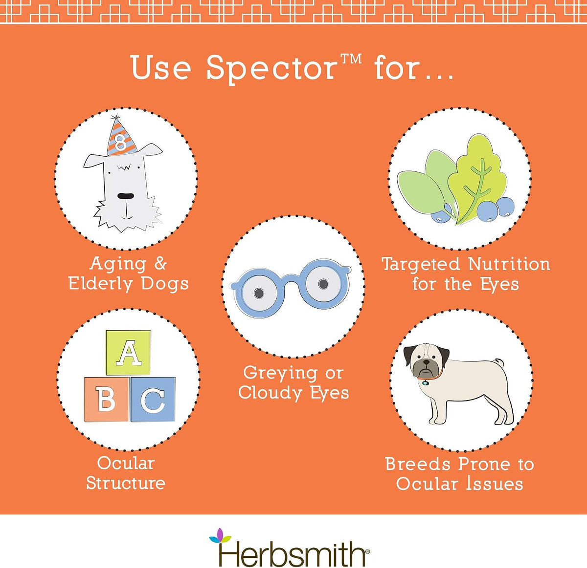 Herbsmith Spector - Eye & Vision Support for Dogs - Antioxidant Supplement - 60 Large Chews - görsel 5